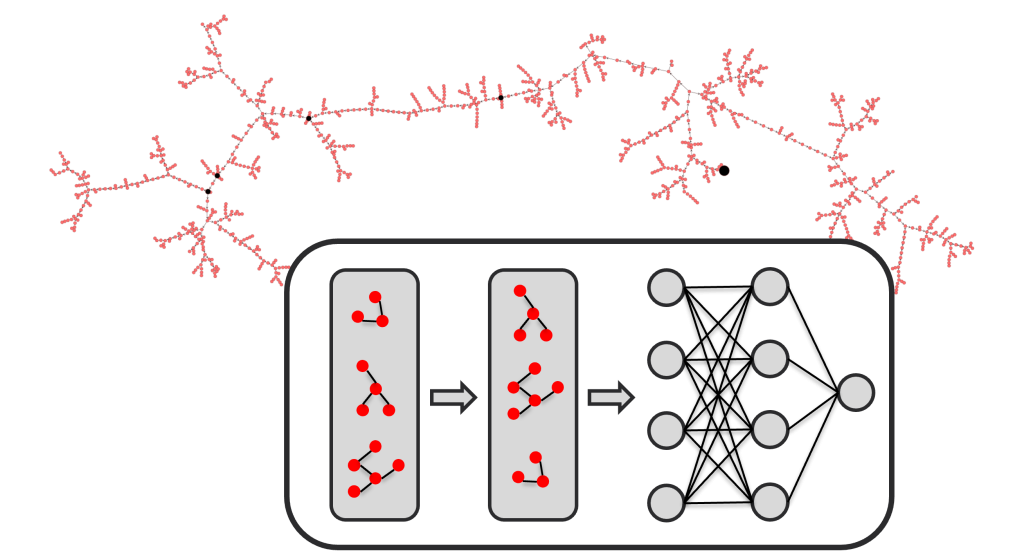 Scientific graphic showing the application of graph neural networks (GNNs)